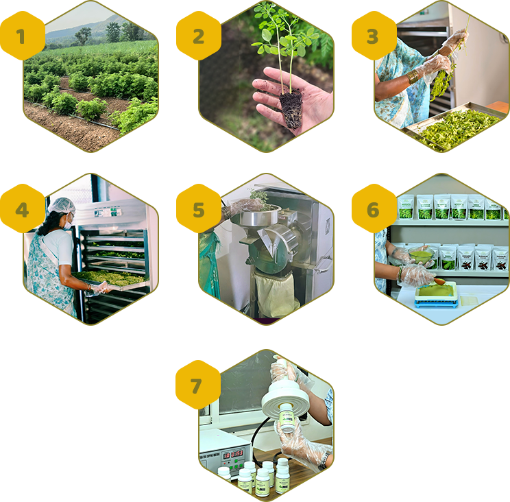 from farm to bottle