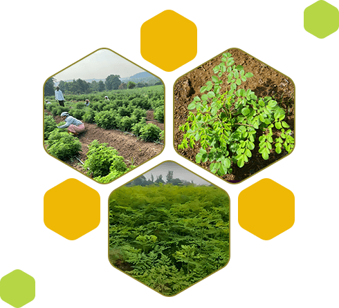 our commitment to farming